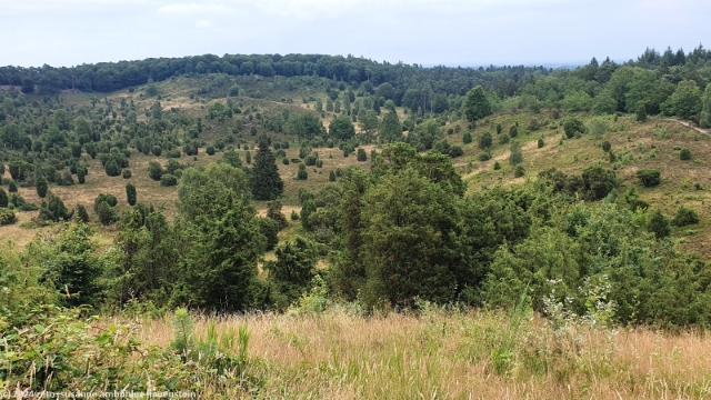 blick in die senke totengrund