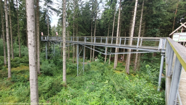 baumwipfelpfad heide himmel bei hanstedt