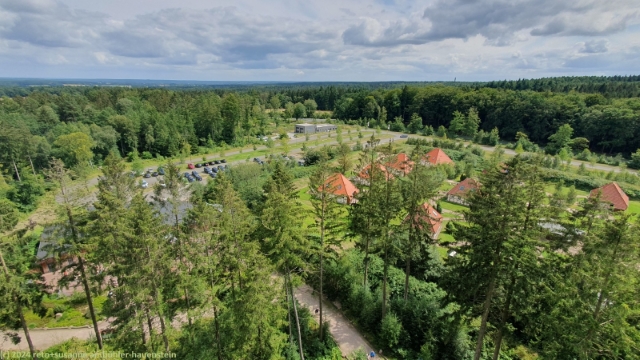 blick vom turm des baumwipfelpfades bei hanstedt richtung osten