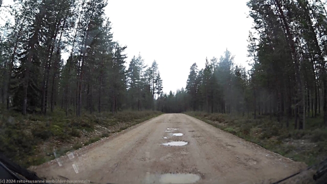 unbefestigte pistonlehdontie im hossa nationalpark