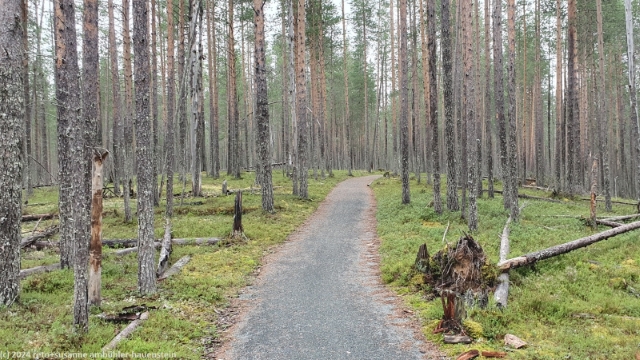 rollstuhlgaengiger wanderweg im hossa nationalpark