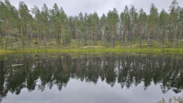 iso-valkeainen im hossa nationalpark