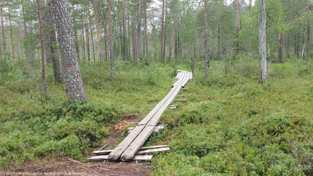wandersteg mit bruecke ueber den kokalmuspuro im hossa nationalpark