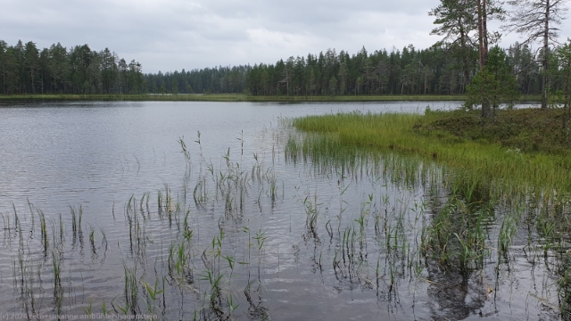 lipposenlampi im hossa nationalpark