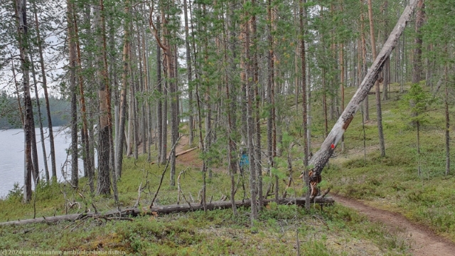 wanderweg entlang des pitkae-hoilua im hossa nationalpark