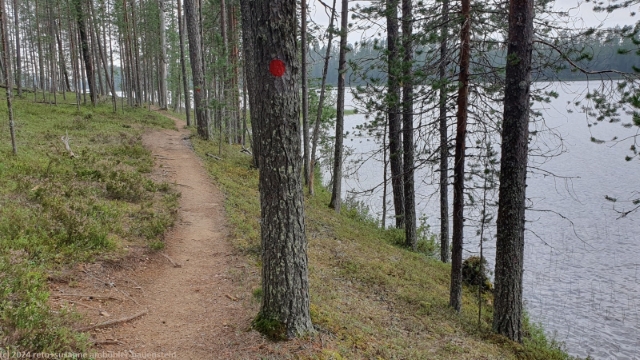 wanderweg entlang des pitkae-hoilua im hossa nationalpark