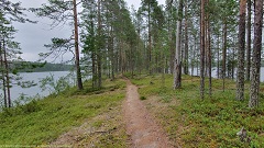wanderweg auf natuerlichem damm zwischen dem ala-valkeainen und dem pitkae-hoilua im hossa nationalpark