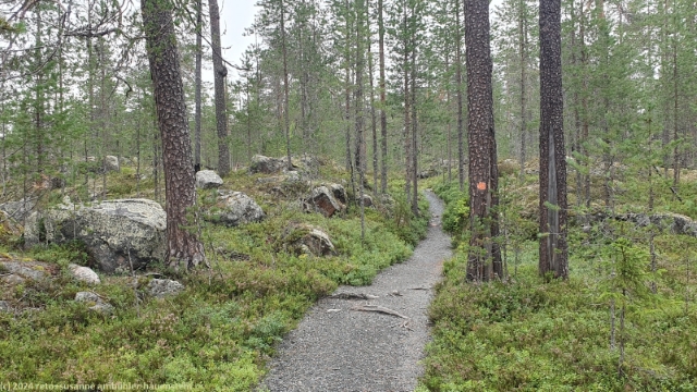 wanderweg auf der ostseite des julma-oelkky im hossa nationalpark