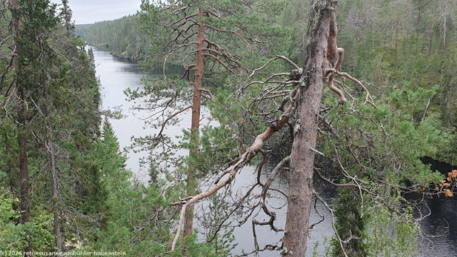 julma-oelkky im hossa nationalpark