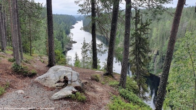julma-oelkky im hossa nationalpark
