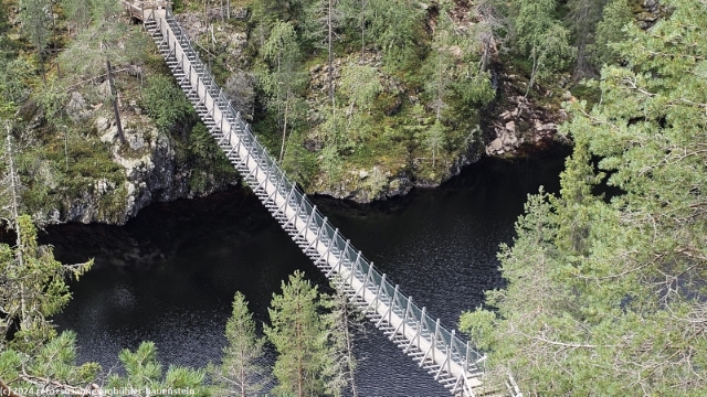 haengebruecke ueber den julma-oelkky im hossa nationalpark