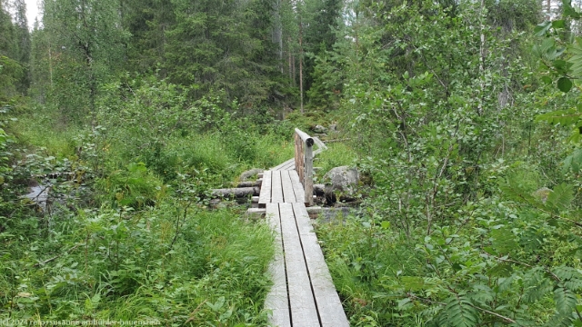 bruecke ueber den oelkynpuro im hossa nationalpark