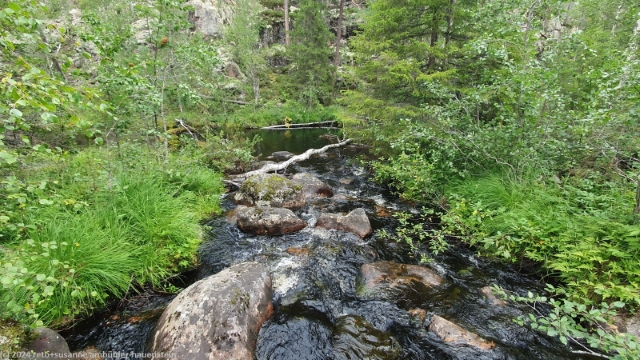 oelkynpuro im hossa nationalpark