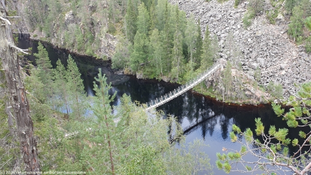 haengebruecke ueber den julma-oelkky im hossa nationalpark