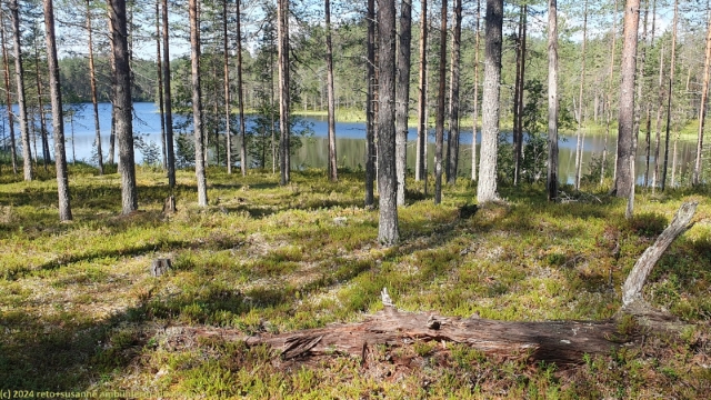 hakokosken hujaus entlang des syvae-hoilua im hossa nationalpark