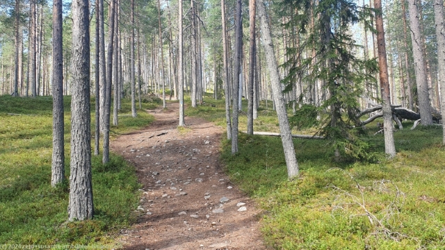 wanderweg hakokosken hujaus im hossa nationalpark