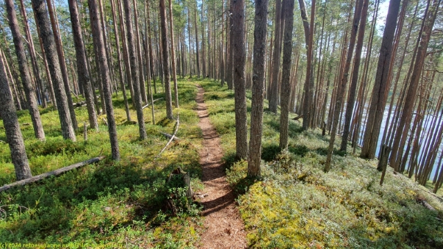laukkujaerven lenkki richtung laukunharju im hossa nationalpark