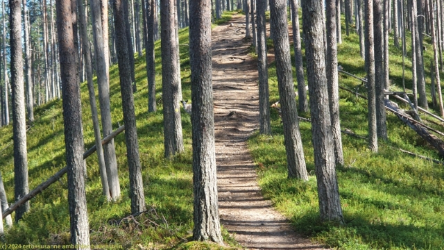 hakokosken hujau richtung hakoharju im hossa nationalpark