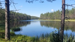 blick vom laukkujaerven lenkki auf den matala suottajaervi im hossa nationalpark