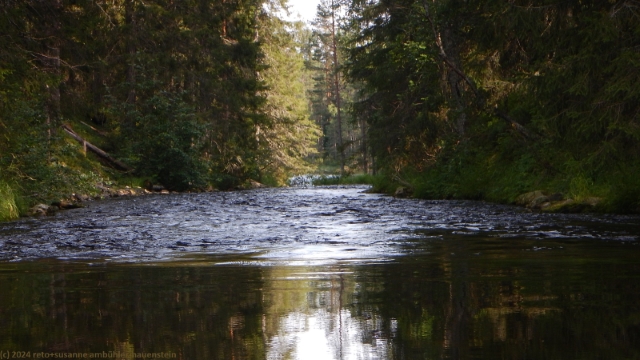 leicht holpriger abschnitt ausgangs saari-hoilua im hossa nationalpark