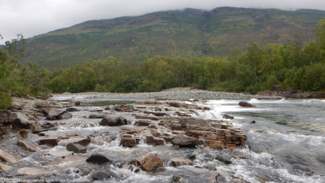 kungsleden entlang des abiskojakka