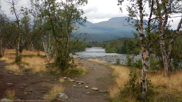 kungsleden entlang des abiskojakka