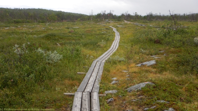 wandersteg im verlauf des kungsleden
