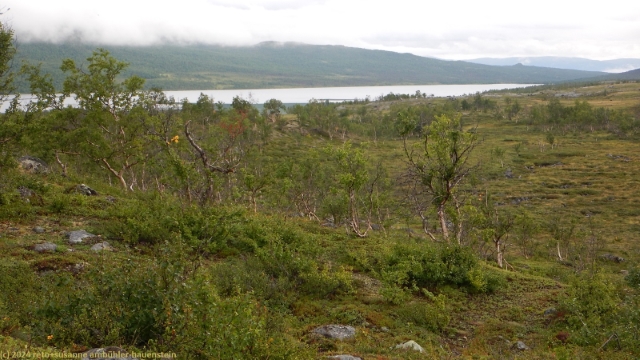 blick vom kungsleden zurueck auf den abiskojaure