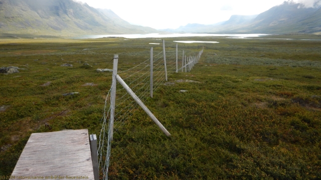 rentierzaun im verlauf des kungsleden