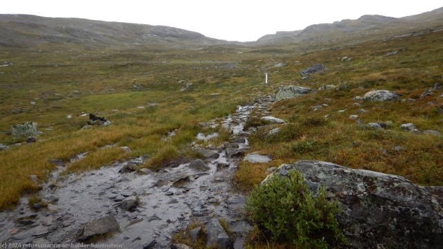 wanderweg durch das tal des laddjujohka (blick richtung westen)