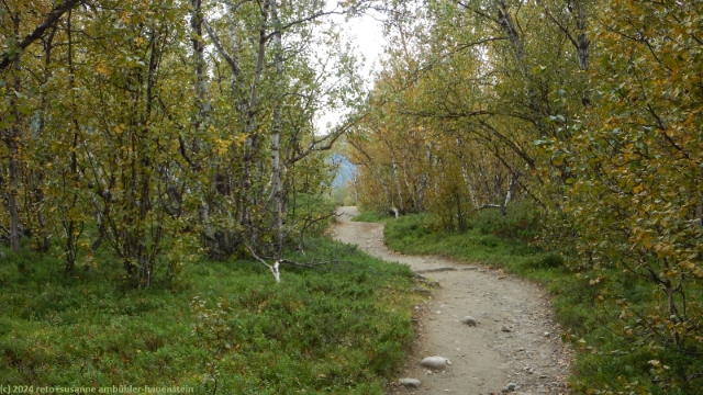 wanderweg zwischen dem unteren bootsanleger und nikkaluokta