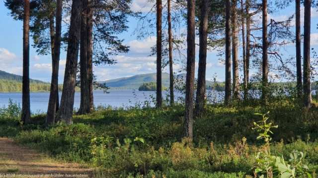 pfad entlang des lilla luleaelven zwischen campingplatz und jokkmokk