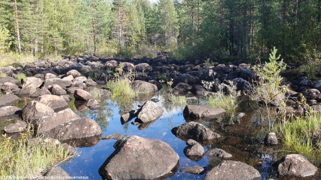 bachueberquerung im wald bei jokkmokk
