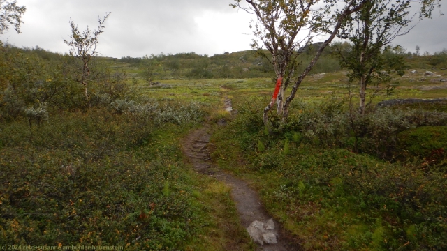 aufstieg richtung biedjovaratja im verlauf des padjelantaleden