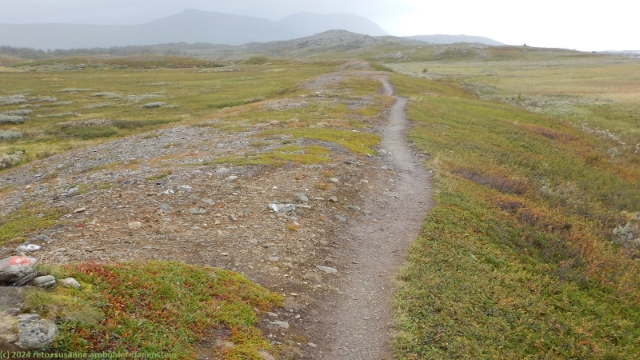padjelantaleden bei tjermaklappta