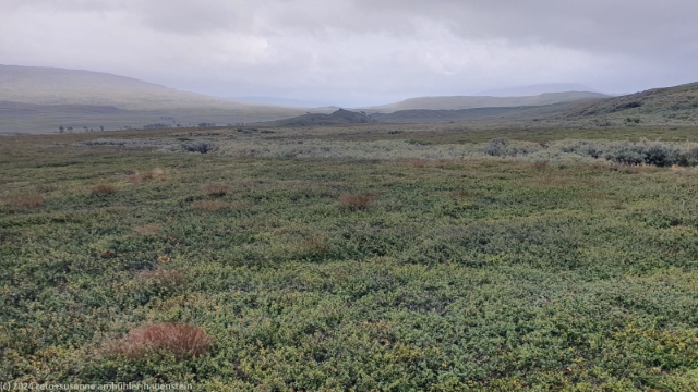 blick vom padjelantaleden ins tal des radokjahka