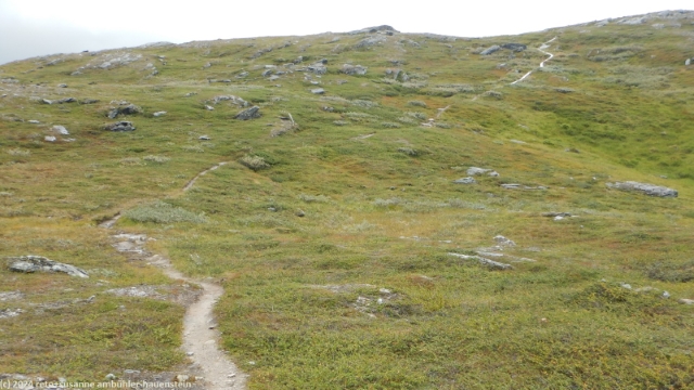 aufstieg richtung duottar im verlauf des padjelantaleden