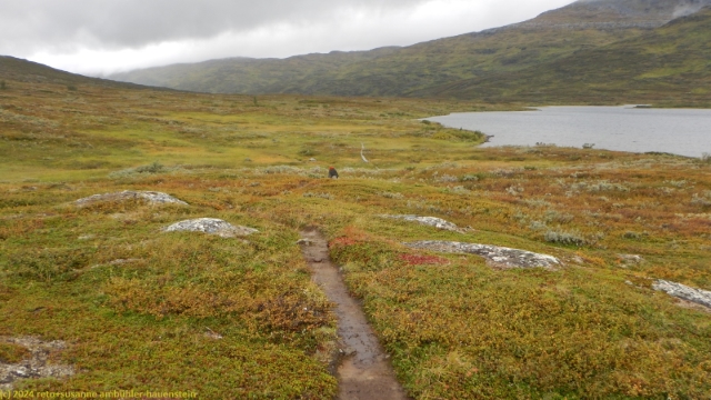 padjelantaleden entlang des darreluoppal