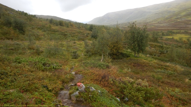 padjelantaleden durch das tal des darrejahka