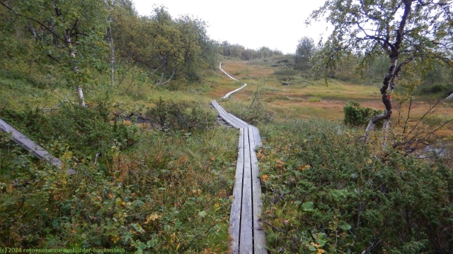 wandersteg im verlauf des padjelantaleden durch das tal des darrejahka