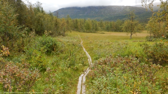 padjelantaleden durch das tarradalen