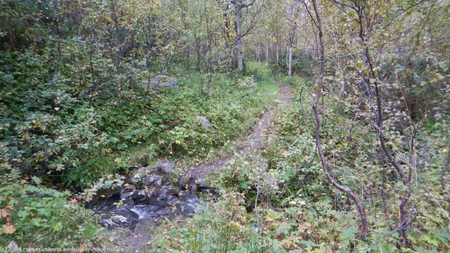 morastiger padjelantaleden kurz vor der sammarlappa fjaellstuga