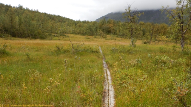 wandersteg im verlauf des padjelantaleden kurz vor der sammarlappa fjaellstuga
