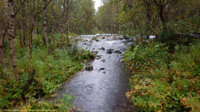 ein weiterer zufluss des tarraaetno im verlauf des padjelantaleden
