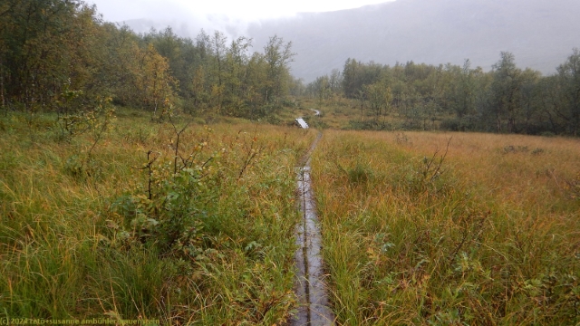 wandersteg im verlauf des padjelantaleden