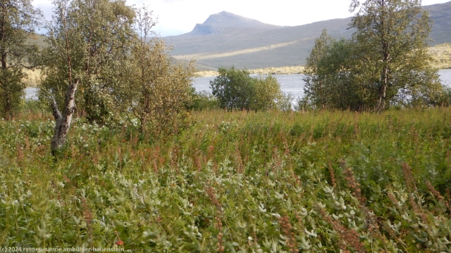 blick vom padjelantaleden auf den ahkalmtjahkka