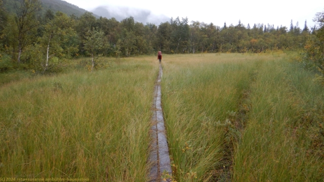 wandersteg durch sumpfgebiet im verlauf des padjelantaleden