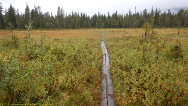 wandersteg durch sumpfgebiet im verlauf des padjelantaleden