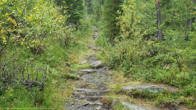 matschiger wanderweg im verlauf des padjelantaleden