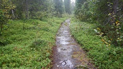 matschiger wanderweg im verlauf des padjelanta